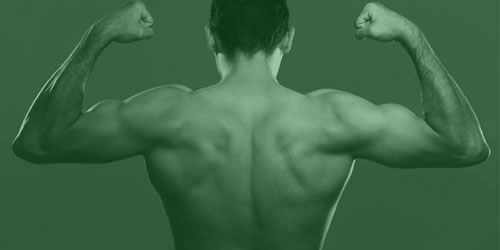 Bodybuilding